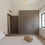 公寓 Maison Zenon Center 拉纳卡